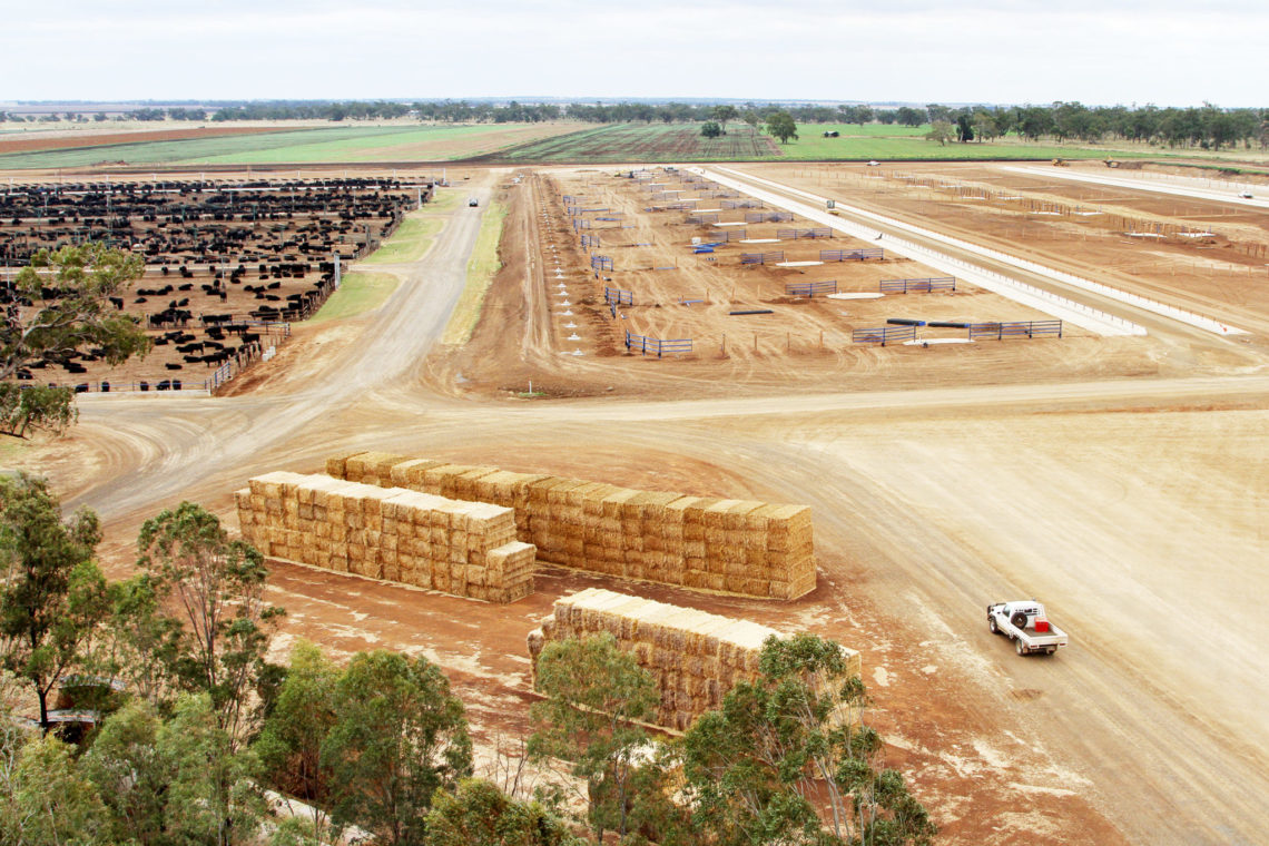 Feedlot dust suppression methods reviewed