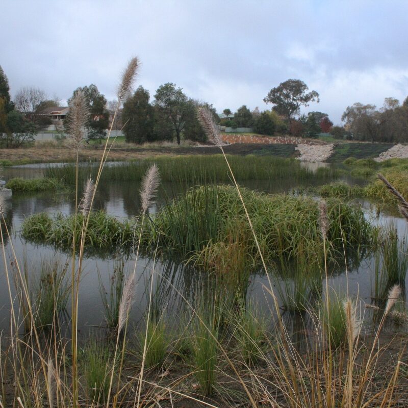 Ecological and archaeology survey. Orange NSW