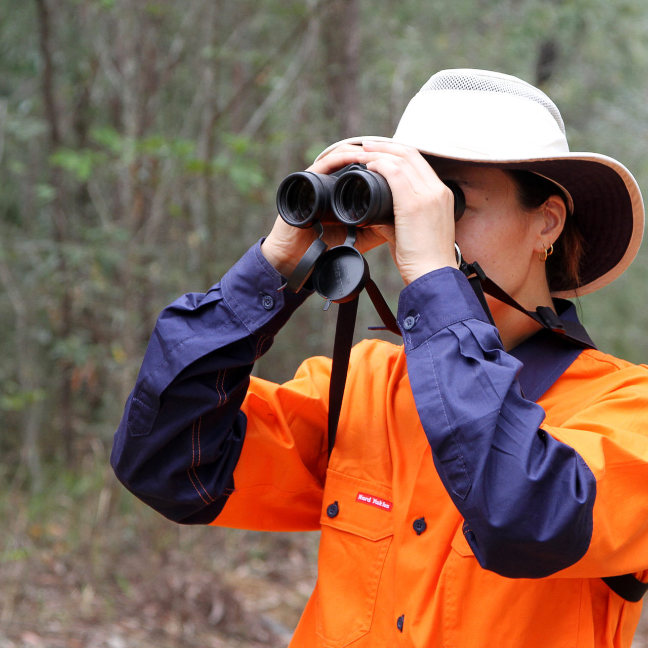 Ecological and archaeology survey. Dubbo NSW